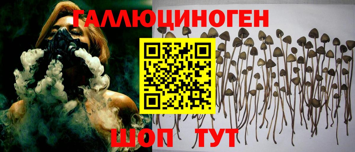 Псилоцибиновые грибы GOLDEN TEACHER Когалым