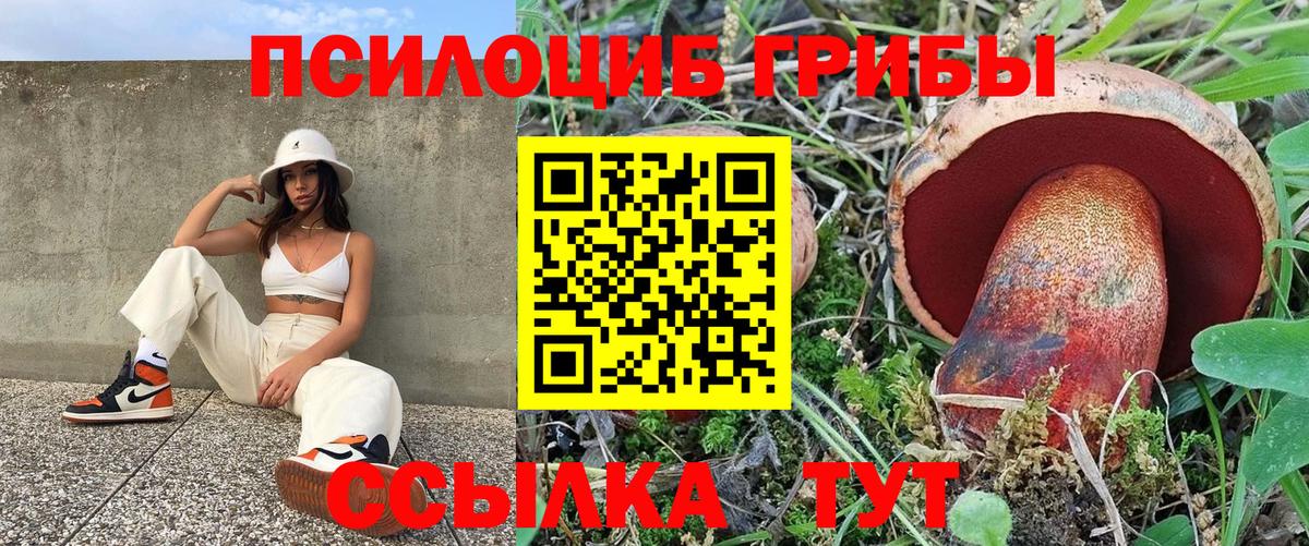 Псилоцибиновые грибы Magic Shrooms  Вход с VPN  Когалым  Галлюциногенные грибы Cubensis 